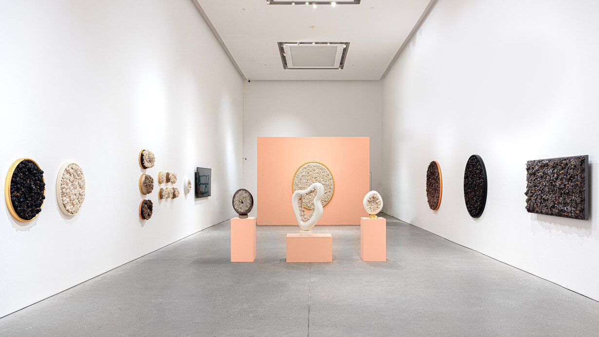 Melis Buyruk, Four birds and one soul, exhibition view. Courtesy of Leila Heller Gallery