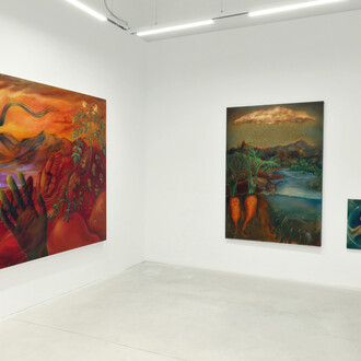 Aura Roig, The worms are starting to move, exhibition view. Courtesy of Prats Nogueras Blanchard