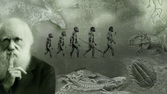 Charles Darwin l’innovatore