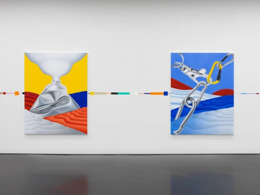 Jac Leirner and Rafa Silvares, Ensemble, exhibition view. Courtesy of Esther Schipper 