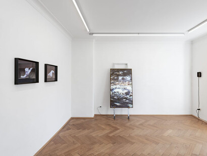 Paul Valentin, Zharroktal, exhibition view. Courtesy of Britta Rettberg Galerie