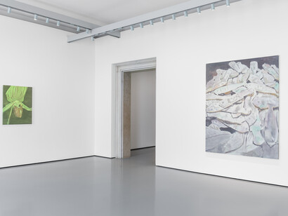 Luc Tuymans, Orchid, 1998, Private collection, Courtesy David Zwirner, New York/London, Mother of Pearl , 2018, Private collection, Courtesy Zeno X Gallery, Antwerp. Installation View at Palazzo Grassi, 2019 © Palazzo Grassi, Photography by Delfino Sisto Legnani e Marco Cappelletti