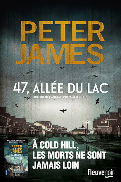 Peter James. Un auteur qui sort un peu du cadre du polar mais qui tout de même mérite le détour