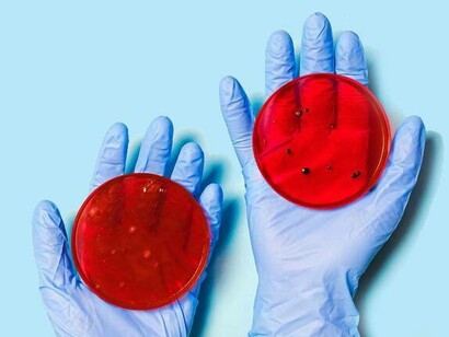 Ein Wissenschaftler mit zwei Petrischalen