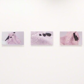 Marie-Eve Levasseur. Courtesy of Art Mûr