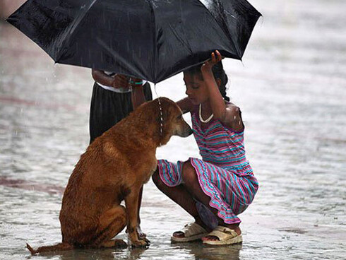 Noi e il nostro cane
