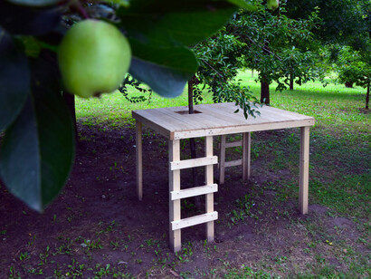 Palafrutta – Publink  