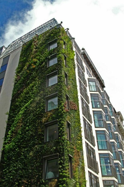 Aetenan Hotel in London, Patrick Blanc. Foto di Pascal Héni  
