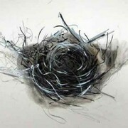 Wayne Zebzda, Nest 1 , 2010, 14 x 14 in, Carbon Smoke, Ink, graphite on Paper