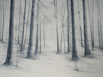VICARI MARIKA, Tempo degli alberi, 2015, Grafite su tavola, 120x180 cm 