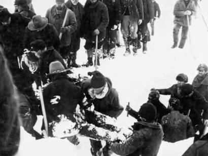 Il richiamo della foresta