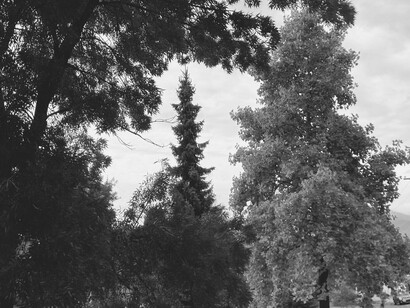 Looking at 5,000 feet of natural wonder while standing in a neighborhood of blue-collar dreams and overpriced legacies © Photo by John Macanas