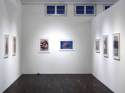 Lina Scheynius, Exhibition view. Courtesy of Christophe Guye Galerie