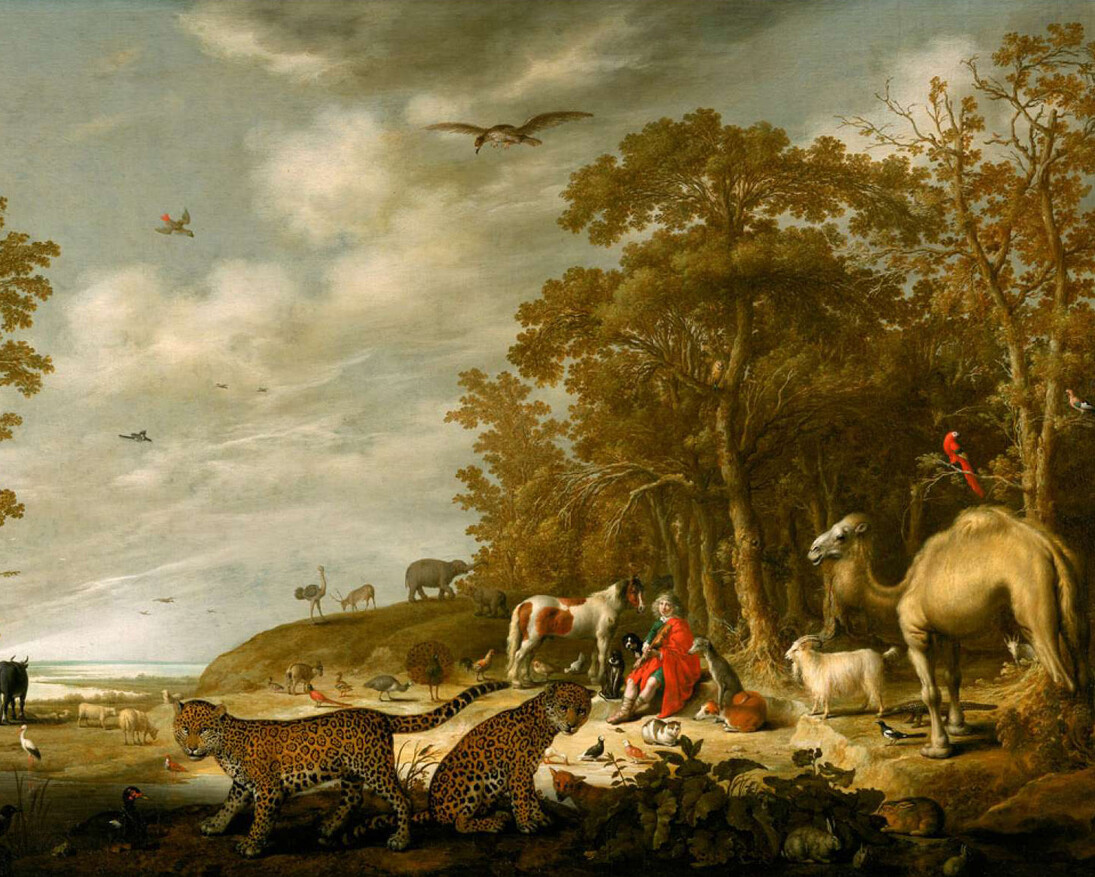 Masterpieces of Dutch and Flemish Painting. Courtesy of MFA