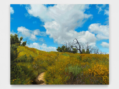 John Seal, Charmlee Wilderness Park 1, 2023. Oil on canvas, 44”h x 54”w (112 x 137cm). Courtesy of Harkawik Gallery