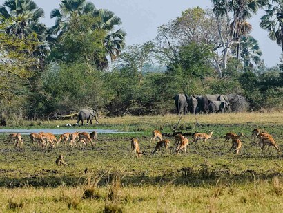 Parco nazionale di Liwonde, Malawi