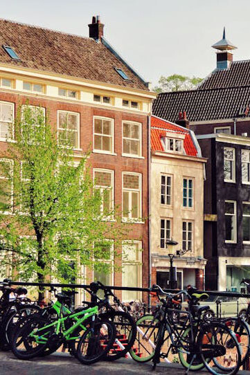 En la casa del viejo profesor de filosofía, su mentor, le contó que Lacan decía que las heridas psíquicas más violentas surgían siempre en el interior de colectividades aparentemente sometidas a la mayor normalidad