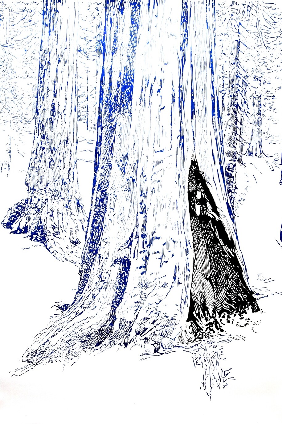 Pedro Amaral. Trabalho sobre papel 