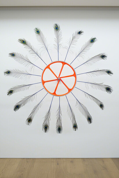 Paola Pivi. Courtesy of Perrotin