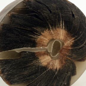 States of Matter. Courtesy of Galleri Urbane