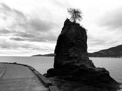 It is a sea stack located in Stanley Park, Vancouver, Canada