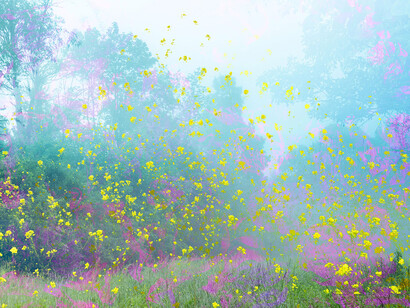 Dora Somosi, Highland flowers, 2023. Courtesy of Carrie Haddad Gallery