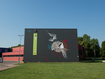 Without Frontiers, Lunetta a colori. Courtesy of Caravan SetUp