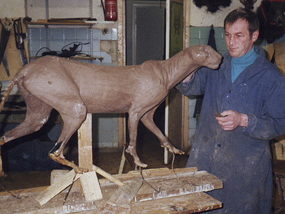 Hunting trophy hall. Courtesy of Museum of Zoology
