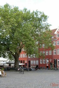 Piazzetta di Copenhagen.