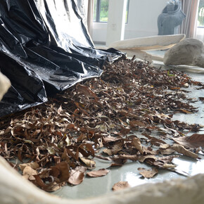 Untitled, 2015, Mixed media, size and materials variable