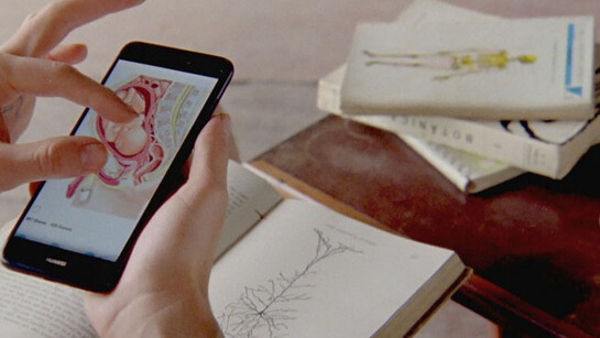 Pedro Neves Marques. Courtesy of Pérez Art Museum