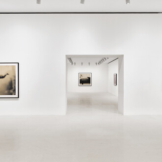 Bennett Miller, exhibition view. Courtesy of Gagosian 