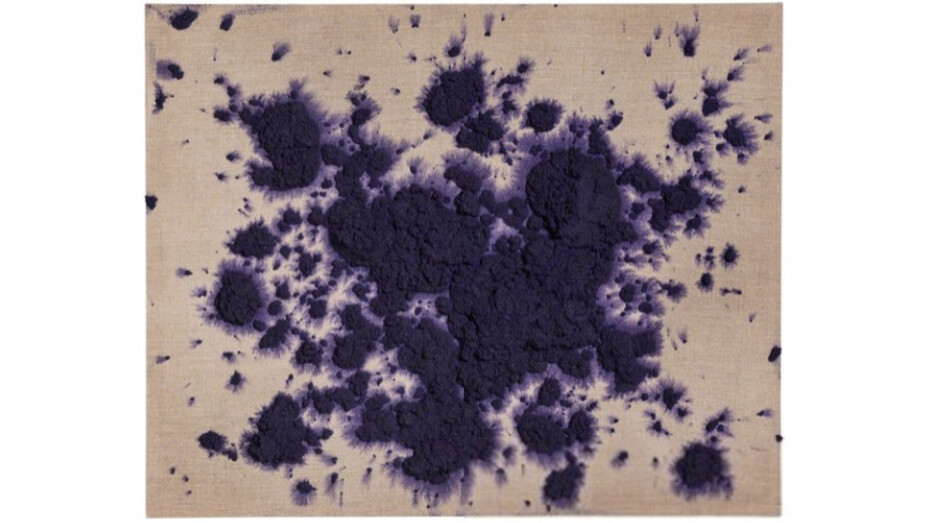 Bosco Sodi. Courtesy of Galeria Carles Taché