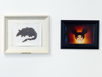 Déjà vu, ehxibition view. Courtesy of Dunedin Public Art Gallery