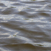 Regina Agu. Passage. Courtesy of NOMA