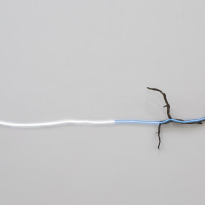 Unstable Examples. Courtesy of Perrotin Hong Kong