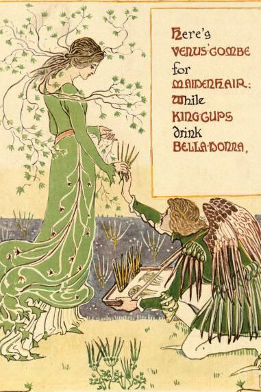 Il Pettine di Venere (Scandix pecten-veneris L.) in una fantasia floreale di un vecchio giardino Inglese. Walter Crane, 1899
