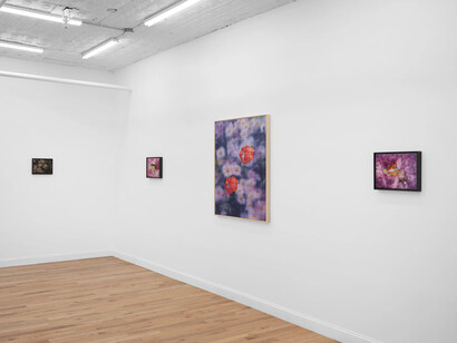 Martina Grlić, Memory projects, exhibition view. Courtesy of Fragment Gallery