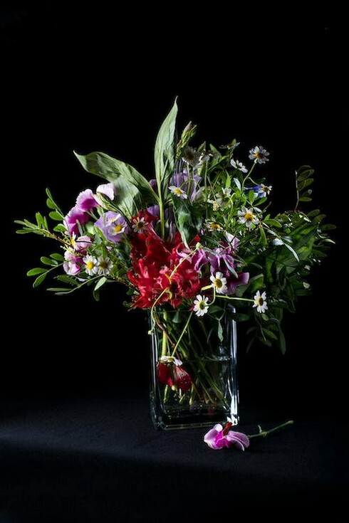 Si svegliò alle prime luci dell’alba per sentire i rumori del bosco. Infilò i piedi scalzi nei grossi stivali di gomma e si avventurò tra i campi avvolti di rugiada a cogliere qualche germoglio primaverile