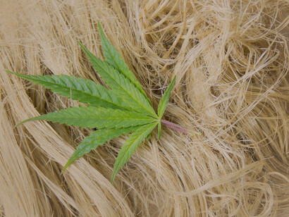 Hemp fiber: hemp-derived products such as fiber and food ingredients are legal