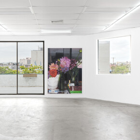 Juliana Halpert and Parker Ito, Au Jus, 2023, installation view, photo by Paul Salveson. Courtesy of Bel Ami Gallery