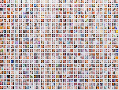 Paolo Cirio y Alessandro Ludovico. Face to facebook. 2011