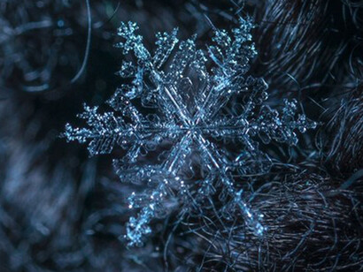Fiocco di neve