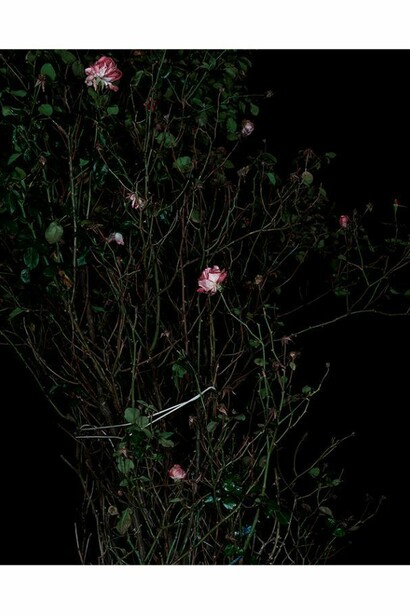 Sarah Jones, The Rose Garden (Display) (VII), 2014, C Print, 59 7/8 x 48 inches (unframed) (152.1 x 121.9 cm). Courtesy Anton Kern Gallery, New York