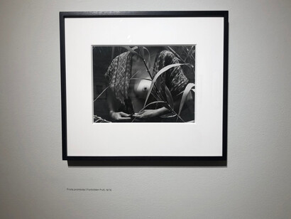 Manuel Álvarez Bravo. Courtesy of The Photographers' Gallery