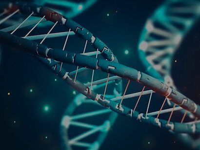 Visual representation of the human DNA double helix