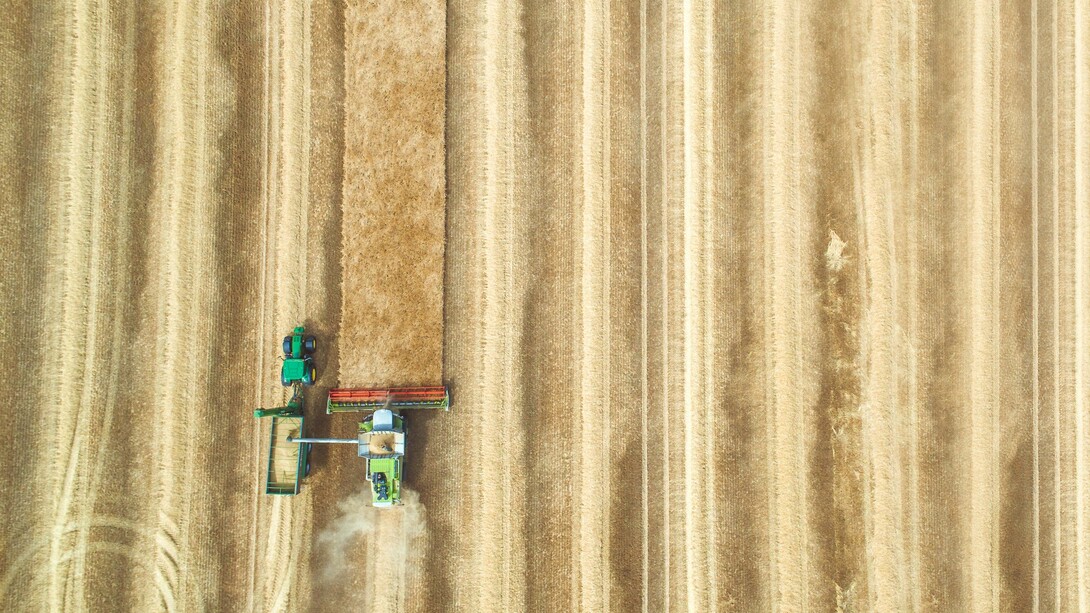 Cosechadora en un campo de trigo en Reino Unido