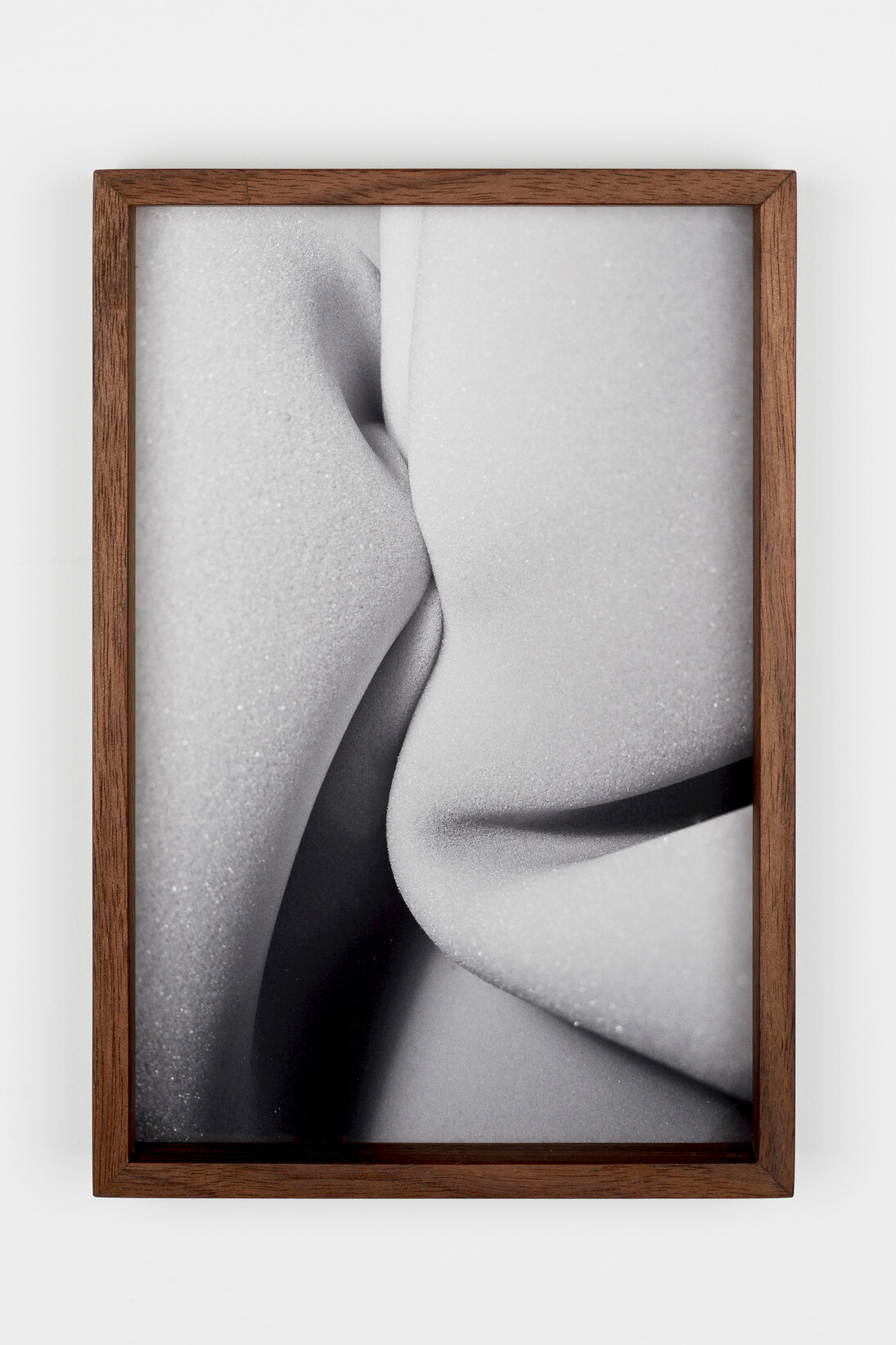Exhibition art