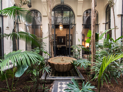 Vegetación frondosa en un riad marroquí