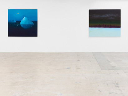 Sarah Lee, Quiet days, exhibition view. Courtesy of Anat Ebgi